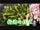 新潟の枝豆を食べる茜ちゃん【黒鳥エコろく】