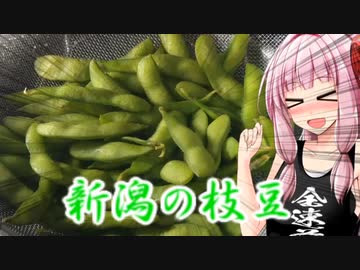 新潟の枝豆を食べる茜ちゃん【黒鳥エコろく】