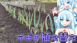 2023年6月19日　農作業日誌P665　坊主知らずネギの植え替えをする前に色々お仕事をするよ