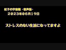 紅子の宇宙船 －音声版－ 2023年06月19日
