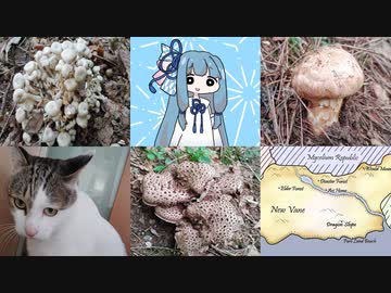 【A.I.VOICEキッチン】採取したキノコを食べる葵ちゃん