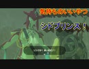 謎解きに弱すぎる男の抗い 名作謎解きゲーをIQ3がゆく[ゼルダの伝説BotW]実況プレイ11