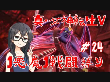 【真・女神転生V】1悪魔1戦闘縛り part24【花隈千冬実況】
