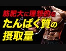 【筋トレ】理想のたんぱく質摂取量 | ボデイビルチャンピオンが解説【ビーレジェンド プロテイン】【ビーレジェンド プロテイン】