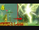 雷に打たれ裁かれるコログたち #６【ゼルダの伝説 ティアーズ オブ ザ キングダム】