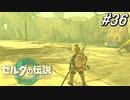 【ティアキン】僕しかいない街【ゼルダの伝説 ティアーズ オブ キングダム】実況プレイ part36