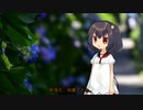 綺麗な紫陽花【ソフトウェアトーク劇場】