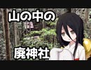 廃神社へ行きましょう【中国うさぎ車載】