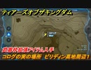 ティアキン　コログの実の場所　ビリディン高地周辺１　武器枠拡張アイテム入手　＃１１２４　【ゼルダの伝説ティアーズオブザキングダム】
