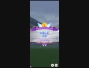 【ウマ娘】MILE杯　グレードリーググループA　決勝　縦画面【プリティーダービー】