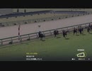【ウイニングポスト2022】気性難縛り(98年6月～)part162