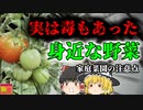 【2004年】家庭菜園で育てていた"ある野菜"を食べた男性 神経症状であるけなくなる 未熟な野菜に潜む危険【ゆっくり解説】