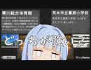 Wikipedia同士の仁義なき戦い【WikiArena】