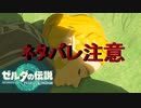 ゼルダが過去でやっていた事【TEARS OF THE KINGDOM】＃地上絵１