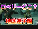ロベリーに会えたけど会えなかった男 Part13【ゼルダの伝説 ティアーズオブザキングダム/TotK】