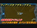 ティアキン　コログの実の場所　北ゲルド巨石周辺２　武器枠拡張アイテム入手　＃１１４５　【ゼルダの伝説ティアーズオブザキングダム】