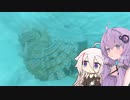 【ゼルダの伝説TotK】ゆかいあおぶざキングダム！#26【ソフトウェアトーク実況】