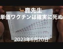 【鹿先生】XBB単価ワクチンは確実に死ぬ @kinoshitayakuhi