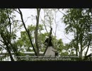 Rockaway NJ Tree Service