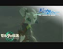 【ゼルダの伝説TotK】天空へ… #17