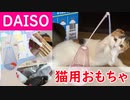 【ダイソー】猫用おもちゃで遊んでみた！