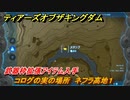 ティアキン　コログの実の場所　ネフラ高地１　武器枠拡張アイテム入手　＃１１６０　【ゼルダの伝説ティアーズオブザキングダム】
