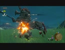 【ゼルダの伝説 ティアーズ オブ ザ キングダム】再びハイラルを救うまで【実況】 part28