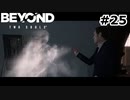 【ゆっくり実況】もう行かせてあげてくれ【Beyond: Two Souls】