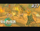 【ティアキン】これが世界を救った勇者に対する態度ですか？【ゼルダの伝説 ティアーズ オブ キングダム】実況プレイ part37