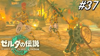 【ティアキン】これが世界を救った勇者に対する態度ですか？【ゼルダの伝説 ティアーズ オブ キングダム】実況プレイ part37