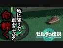 ゼルダの伝説 ティアーズオブザキングダム ボイロ実況プレイ Part8