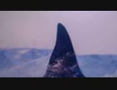 大自然の法　人の心を読む訓練　2023-06-21 14-58-32