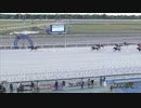 2023年6月21日門別競馬8R ＪＲＡ認定ウィナーズチャレンジ２ ライトヴェール