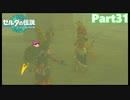 【31】ぼっち勇者の天空探検【ゼルダの伝説ティアーズオブザキングダム】