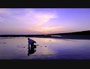 Night Diver/三浦春馬 【踊ってみた】