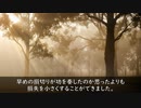ダイナマンのFX生活～負け犬編～#26