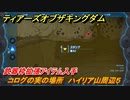 ティアキン　コログの実の場所　ハイリア山周辺５　武器枠拡張アイテム入手　＃１１７３　【ゼルダの伝説ティアーズオブザキングダム】