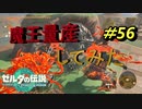 魔王が大群でやってきた【TEARS OF THE KINGDOM】＃56