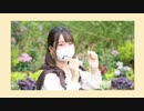 【翠華】Sheepret!  踊ってみた