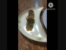 茄子の煮浸しにいそ松葉あうよ謝罪したいって食事奢って茄子の煮浸し違った出すの君だし