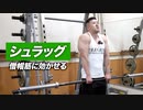 【筋トレ】シュラッグの正しいやり方 | ボディビルチャンピオンが解説【ビーレジェンド プロテイン】