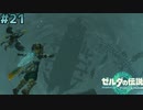# 21 特殊戦闘楽しすぎんだろ【ゼルダの伝説ティアーズオブザキングダム】実況プレイ