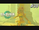 【ティアキン】色々な意味で、お母さんに似てきたなぁ…【ゼルダの伝説 ティアーズ オブ キングダム】実況プレイ part38