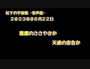紅子の宇宙船 －音声版－ 2023年06月22日