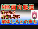 【NHK捏造だけじゃない】偏向報道、クルド人問題についてもお話ししています。