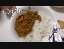 アリアルさんのお料理修行 #06　ドライカレー【CoeFont】【料理】