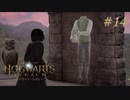 【実況】イギリスで生類憐みの令を発令させる魔女【ホグワーツ・レガシー】#14
