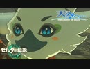 【ゼルダの伝説TotK】天空へ… #18