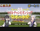 こはるりスタリオン　第11レース