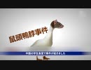 【閲覧注意】ネズミを喰わせる学生食堂